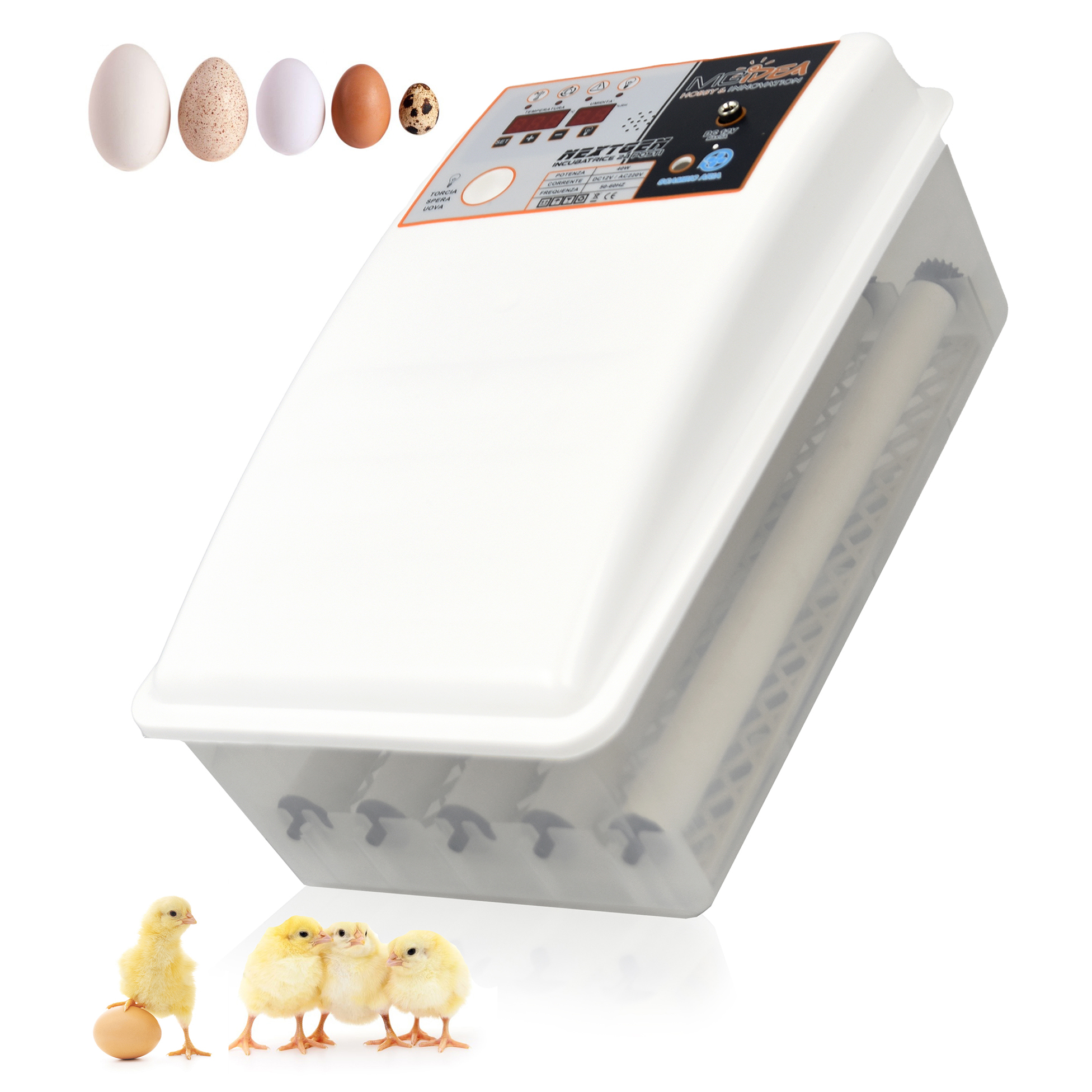 Come funziona l'incubatrice per uova di gallina?